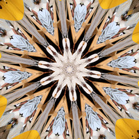 Kaleidoscope Photo Effect: of Middle School Students at IMEM