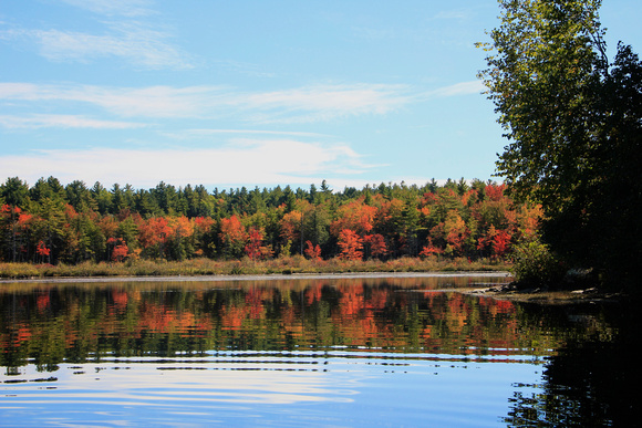 Lake Wyola Fall III