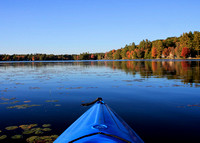 Foliage Paddle