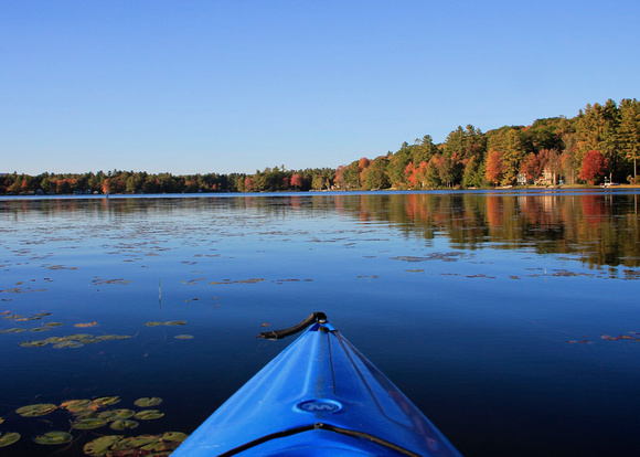 Foliage Paddle