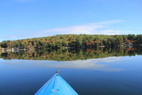 Paddle Reflection