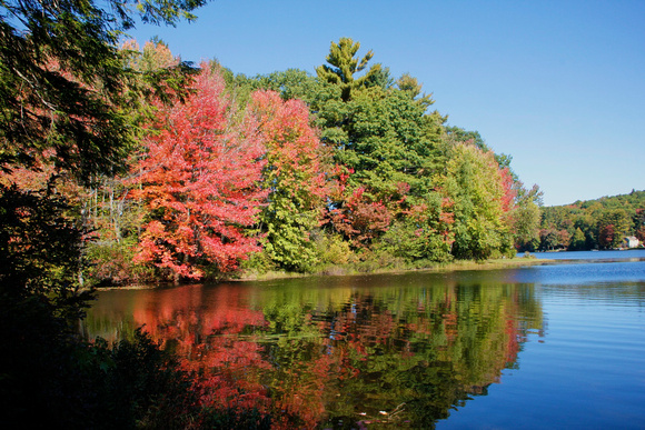 Lake Wyola Foliage