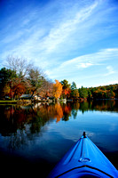 Foliage Paddle II