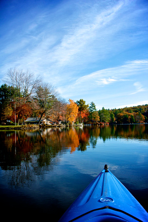 Foliage Paddle II